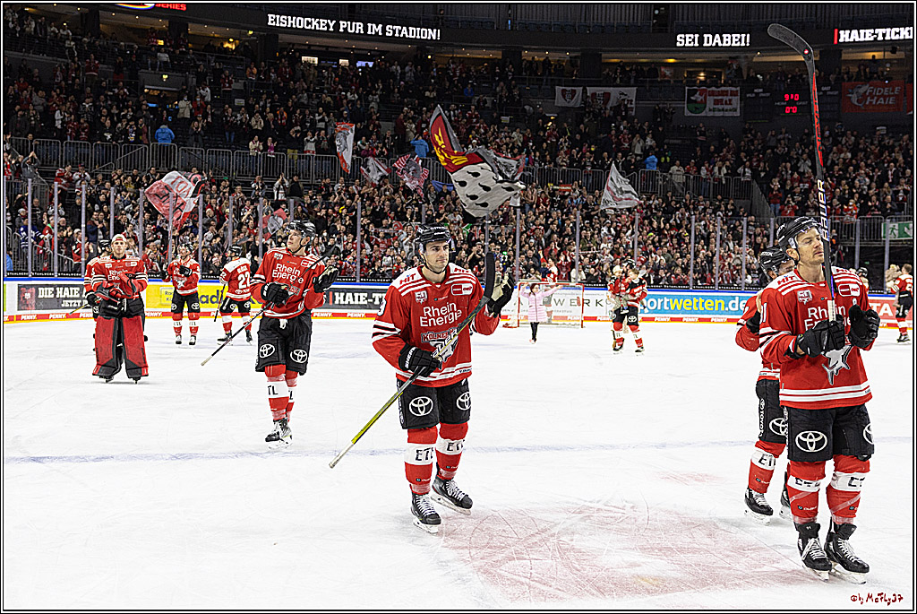 PENNY DEL;  Kölner Haie - Loewen Frankfurt; Köln, 18.12.2022